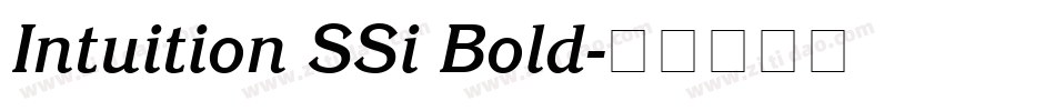 Intuition SSi Bold字体转换